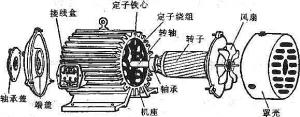 振動(dòng)電機(jī)損壞的常見原因有哪些？